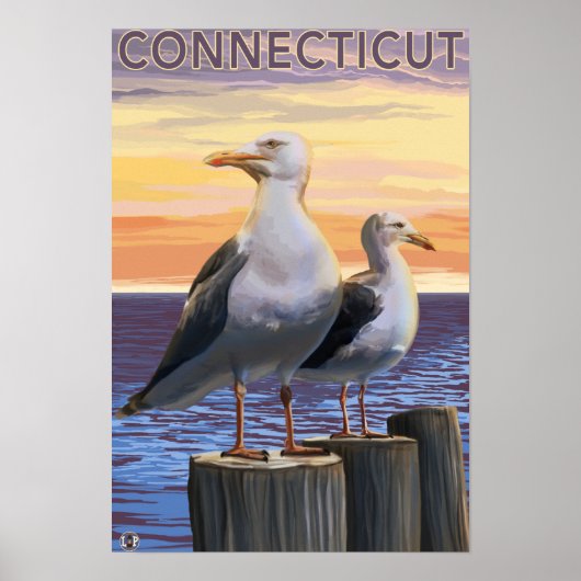 ConnecticutSea GullsScene Poster (Vorne)