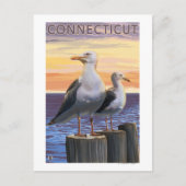 ConnecticutSea GullsScene Postkarte (Vorderseite)