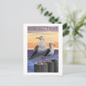 ConnecticutSea GullsScene Postkarte (Stehend Vorderseite)