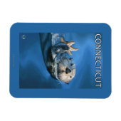 ConnecticutSea Otter Scene Magnet (Horizontal)
