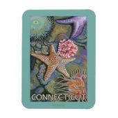ConnecticutTidepool Scene Magnet (Vertikal)