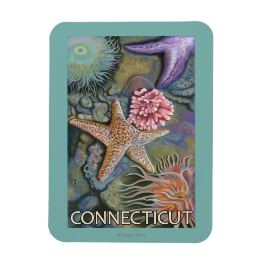 ConnecticutTidepool Scene Magnet (Vertikal)