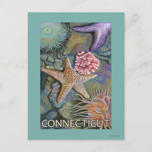 ConnecticutTidepool Scene Postkarte