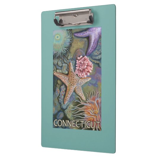 ConnecticutTidepool Szene Klemmbrett (Links)