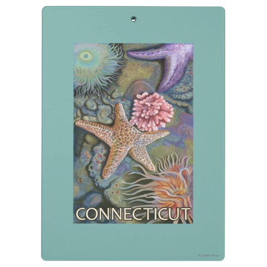 ConnecticutTidepool Szene Klemmbrett (Rückseite)