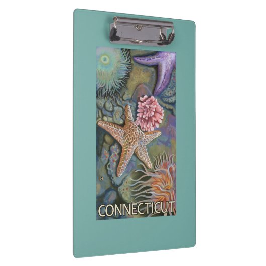ConnecticutTidepool Szene Klemmbrett (Rechts)