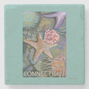 ConnecticutTidepool Szene Steinuntersetzer