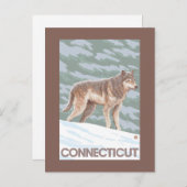 ConnecticutWolf-Szene Postkarte (Vorne/Hinten)