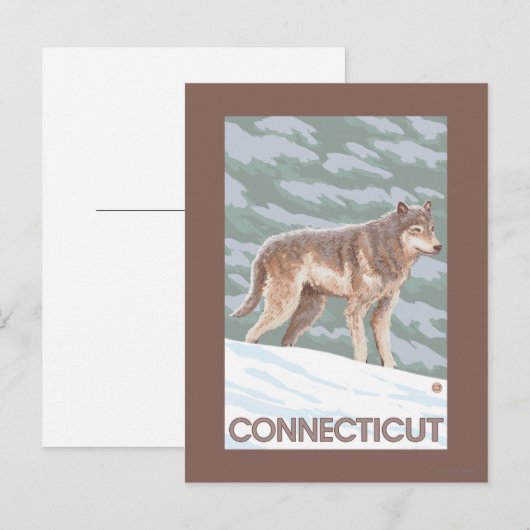 ConnecticutWolf-Szene Postkarte (Vorne/Hinten)