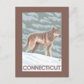 ConnecticutWolf-Szene Postkarte (Vorderseite)