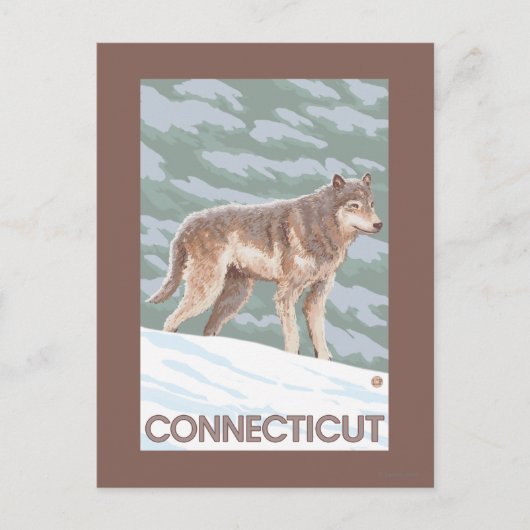 ConnecticutWolf-Szene Postkarte (Vorderseite)
