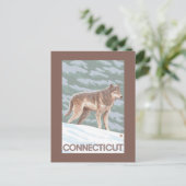 ConnecticutWolf-Szene Postkarte (Stehend Vorderseite)