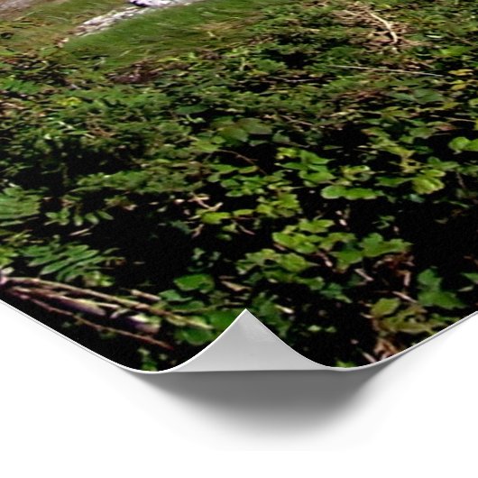 Connemara 11 x 14 poster (Ecke)