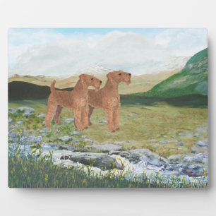 Connemara Landschaft Fotoplatte