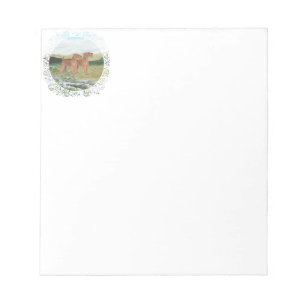 Connemara-Landschaft Notizblock