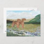 Connemara Landschaft Postkarte (Vorne/Hinten)