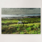 Connemara ponies Galway Irland. Jigsaw Puzzle (Horizontal)