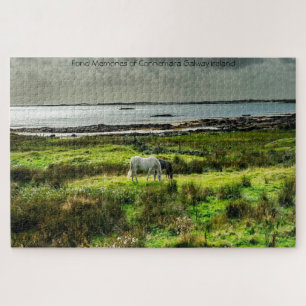 Connemara ponies Galway Irland. Jigsaw Puzzle