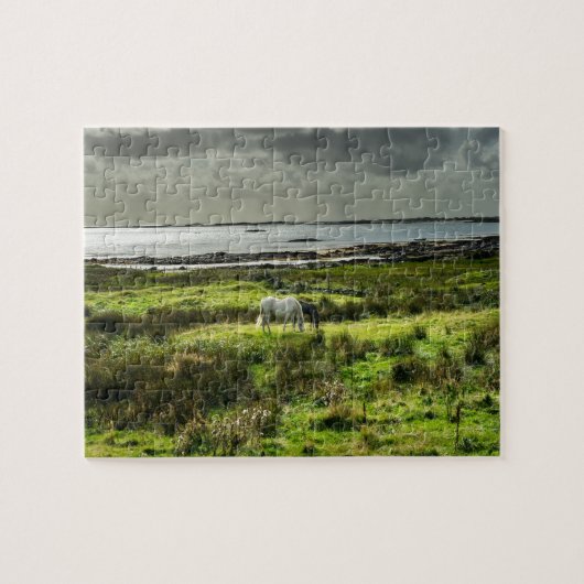 Connemara ponies Galway Irland. Puzzle (Horizontal)