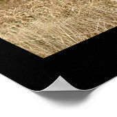 Connemara Ponies. Poster von cARTerART (Ecke)