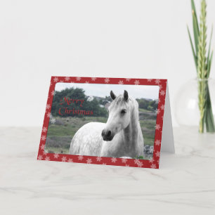 Connemara Pony Weihnachtskarte Feiertagskarte