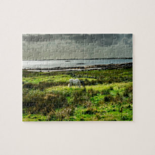 Connemara-Ponys Galway Irland. Puzzle