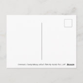 Connemara Sheep, Irland Postcard Postkarte (Rückseite)