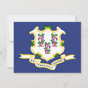 Conneticut Flag Souvenir Nutmeg Staat Shield Postkarte