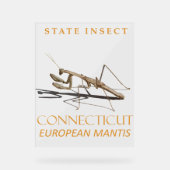 Conneticut Territory Insect Mantis religiosa Acrylschild (Vorderseite)