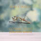 Conneticut Territory Insect Mantis religiosa Acrylschild (Neutral)