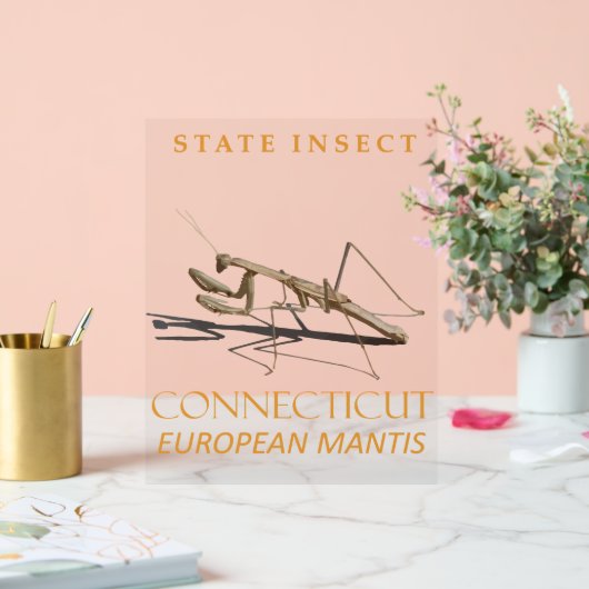 Conneticut Territory Insect Mantis religiosa Acrylschild (Hochzeit)