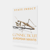 Conneticut Territory Insect Mantis religiosa Acrylschild (Winkel)