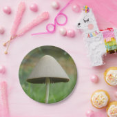 Conocybe rickenii Mushroom Paper Teller (Party)