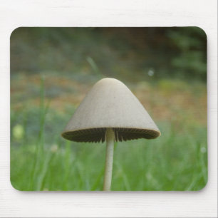 Conocybe rickenii Pilz Maus Mat Mousepad