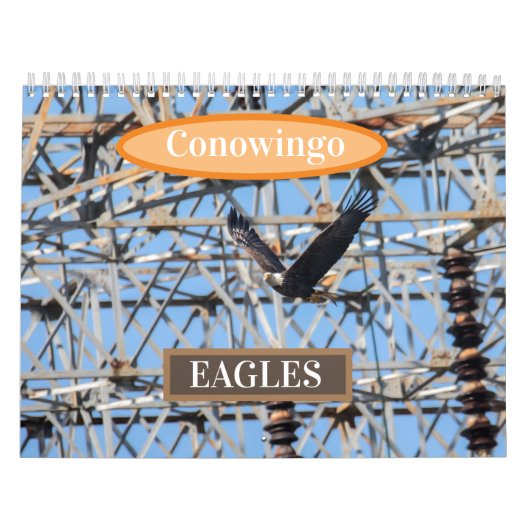 Conowingo Eagles Kalender (Titelbild)