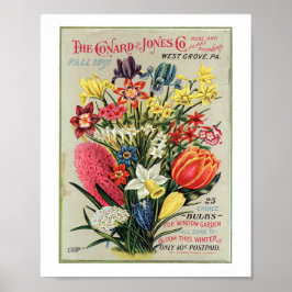 Conrad & Jones 1897 Rose- und Pflanze-Erzeuger Poster