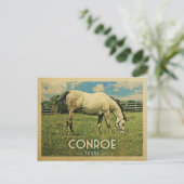 Conroe Texas Horse Farm - Vintage Travel Postkarte (Stehend Vorderseite)