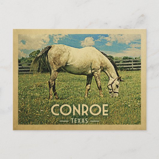 Conroe Texas Horse Farm - Vintage Travel Postkarte (Vorderseite)