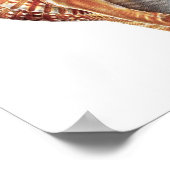 Consea Muschel no.3 Beach Wohngestaltung Art Print Poster (Ecke)