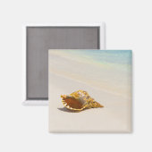 Conseil Muschel am Strand 3 Magnet (Vorderseite/Rückseite)