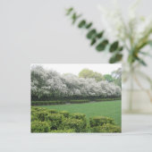 Conservatory Garden Central Park New York City NYC Postkarte (Stehend Vorderseite)