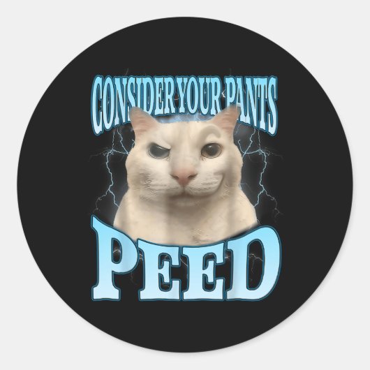 Consider Your Pants Peed Funny Freak Cat Meme Humo Runder Aufkleber (Vorderseite)