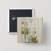 Consiligo, Burreed und Erdbeere Button (Vorne & Hinten)