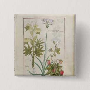 Consiligo, Burreed und Erdbeere Button