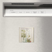 Consiligo, Burreed und Strawberry Magnet (In Situ (Geschirrspüler))