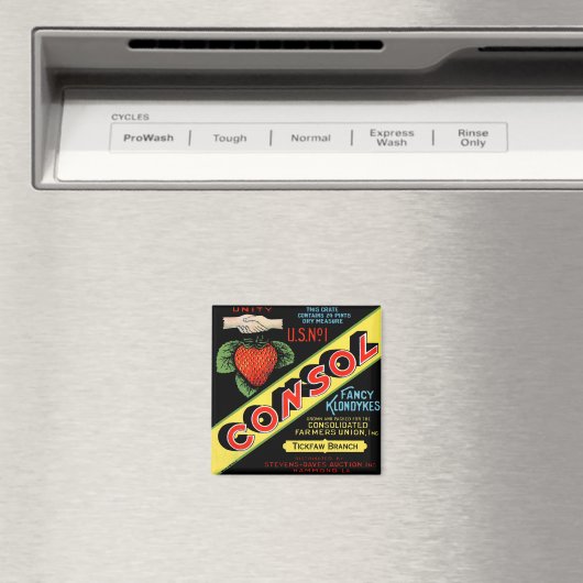 Consol Extravagant Klondykes Strawberries Magnet (In Situ (Geschirrspüler))