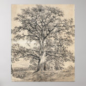 Constable - A Great Oak Tree 1801 Poster (Vorne)