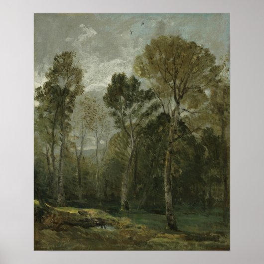 Constable - View a copse Poster (Vorne)