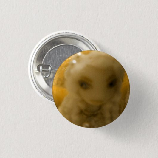 Constance Button (Vorne & Hinten)