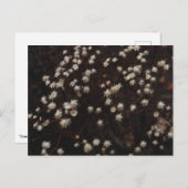 "Constellation Bosque" Postkarte (Vorne/Hinten)